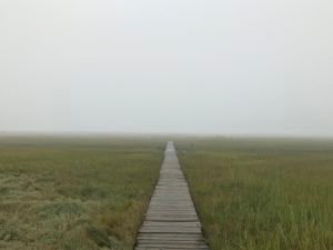 The Spit Scituate - South Shore Trails