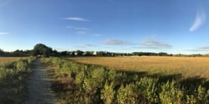 Driftway Scituate - South Shore Trails