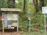Whitney & Thayer Woods