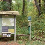 Whitney & Thayer Woods