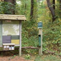 Whitney & Thayer Woods