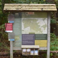 Whitney & Thayer Woods