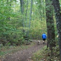 Whitney & Thayer Woods