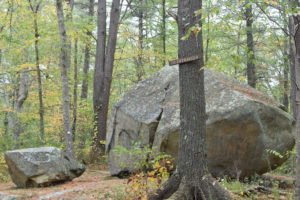 Whitney Thayer Woods - Cohasset - Trustees