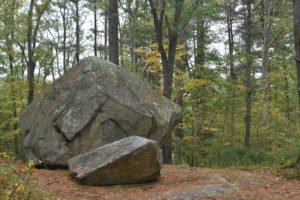 Whitney Thayer Woods - Cohasset - Trustees