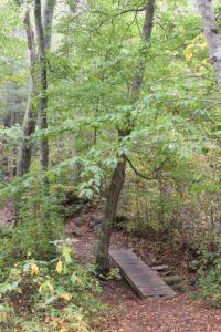 Whitney Thayer Woods - Cohasset - Trustees