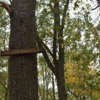 Whitney & Thayer Woods