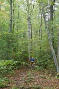 Whitney Thayer Woods - Cohasset - Trustees