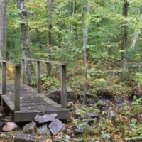 Whitney & Thayer Woods