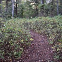 Jacobs Pond Conservation Area