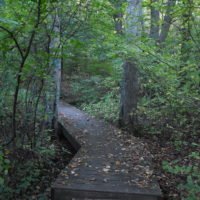 Jacobs Pond Conservation Area
