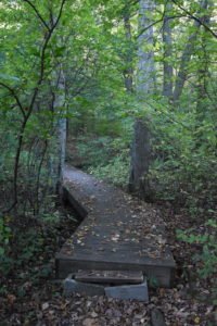 Jacobs Pond - Norwell - Conservation Trails