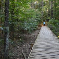 Jacobs Pond Conservation Area