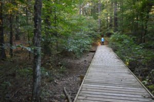 Jacobs Pond - Norwell - Conservation Trails
