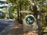 Eel River Woods