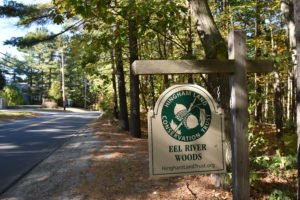 Eel River Woods - Hingham