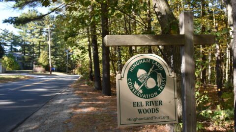 Eel River Woods