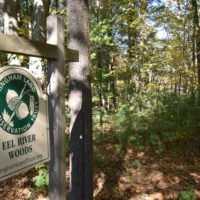 Eel River Woods