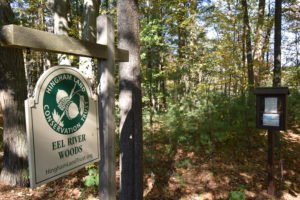 Eel River Woods - Hingham