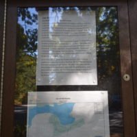 Eel River Woods