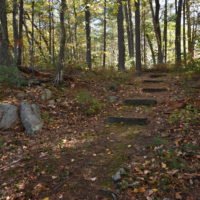 Eel River Woods