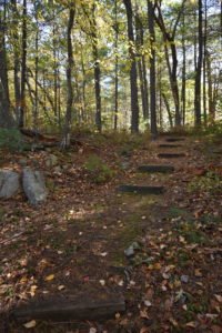 Eel River Woods - Hingham