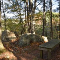 Eel River Woods