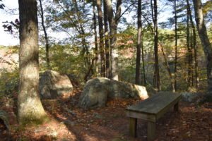 Eel River Woods - Hingham