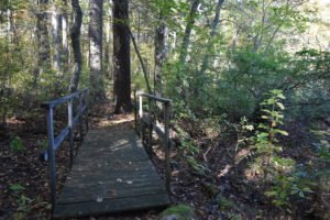 Eel River Woods - Hingham