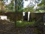 Triphammer Pond Conservation Area