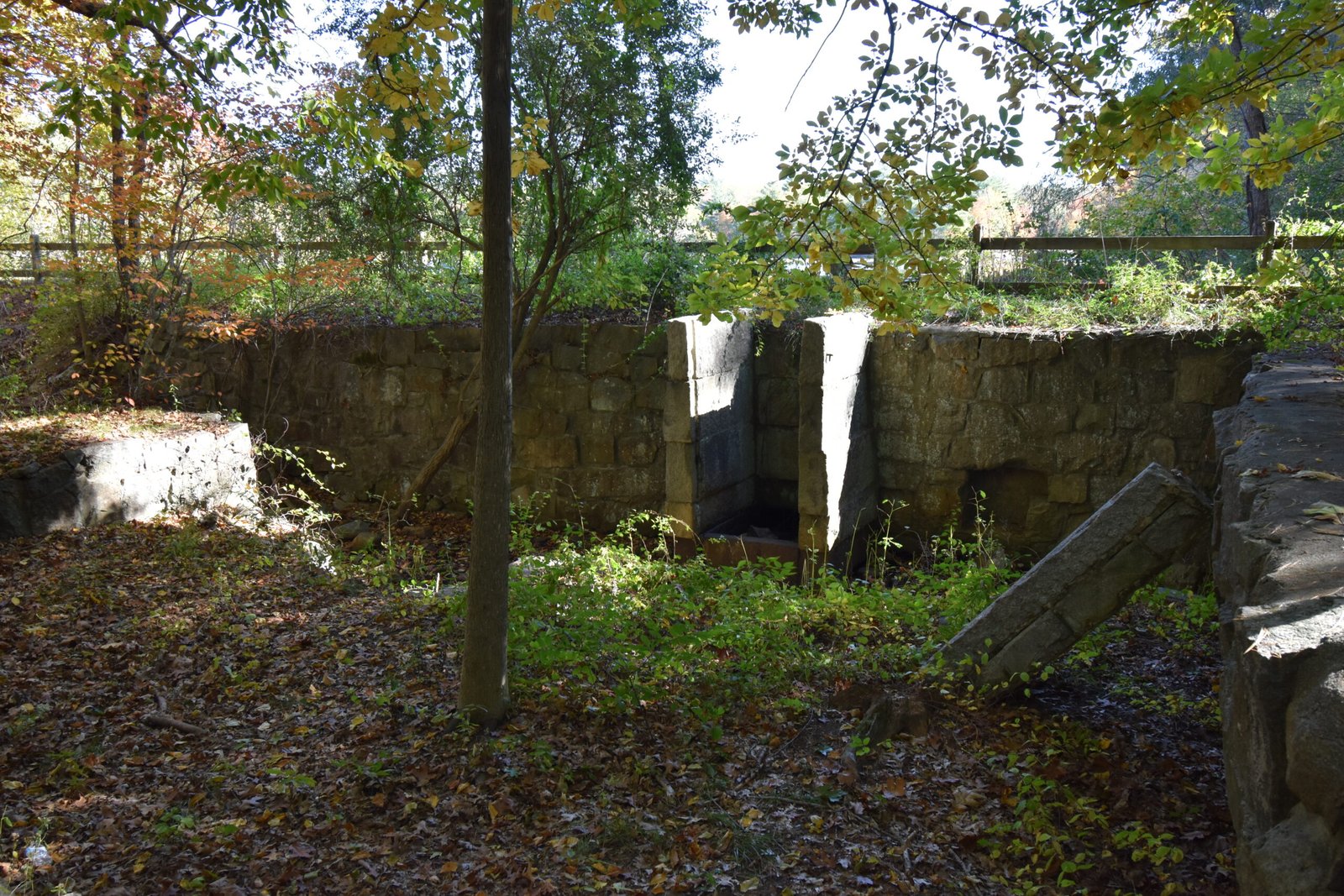 Triphammer Pond Conservation Area