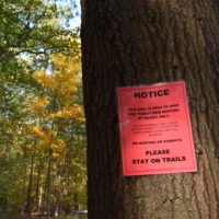 Triphammer Pond Conservation Area