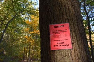 Triphammer Pond - Hingham