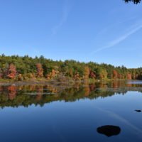Triphammer Pond Conservation Area