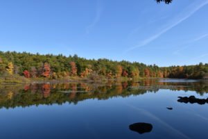 Triphammer Pond - Hingham