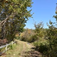 Triphammer Pond Conservation Area