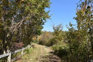 Triphammer Pond - Hingham