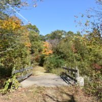Triphammer Pond Conservation Area