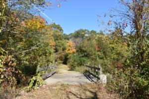 Triphammer Pond - Hingham
