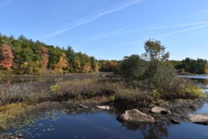 Triphammer Pond - Hingham