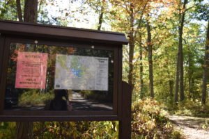 Triphammer Pond - Hingham