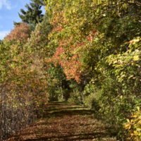 More-Brewer Park