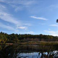 More-Brewer Park