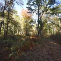 More-Brewer Park