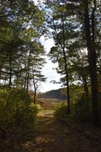 More-Brewer Park