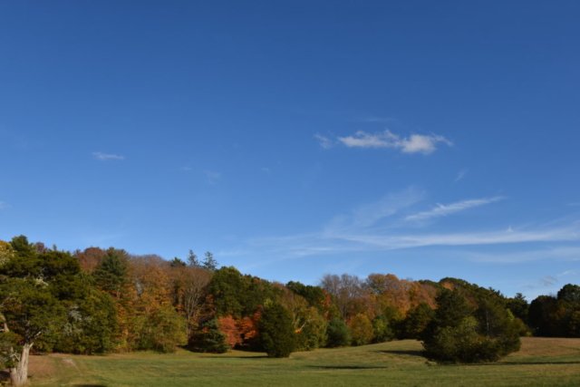 DSC_1838
