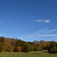 More-Brewer Park