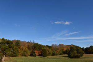 More-Brewer Park