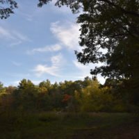 More-Brewer Park