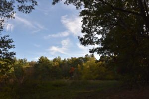 More-Brewer Park